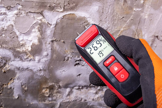 Best Post-Flood Mold Remediation in Cairo, NE