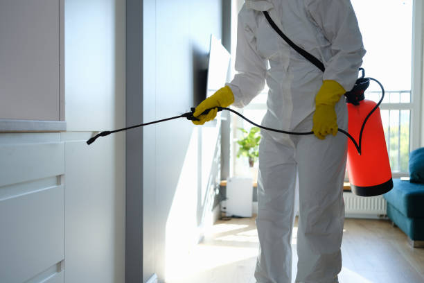 Professional Mold Remediation in Cairo, NE